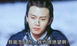 任嘉伦吃瓜群众,吃瓜群众眼中的娱乐圈风云人物